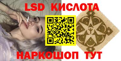 гидропоника Пенза