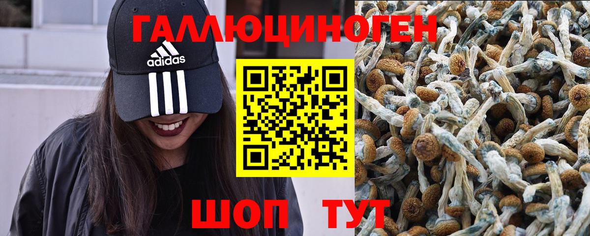 Уссурийск  Галлюциногенные грибы MAGIC MUSHROOMS  Вход с VPN  Псилоцибиновые грибы прущие грибы 
