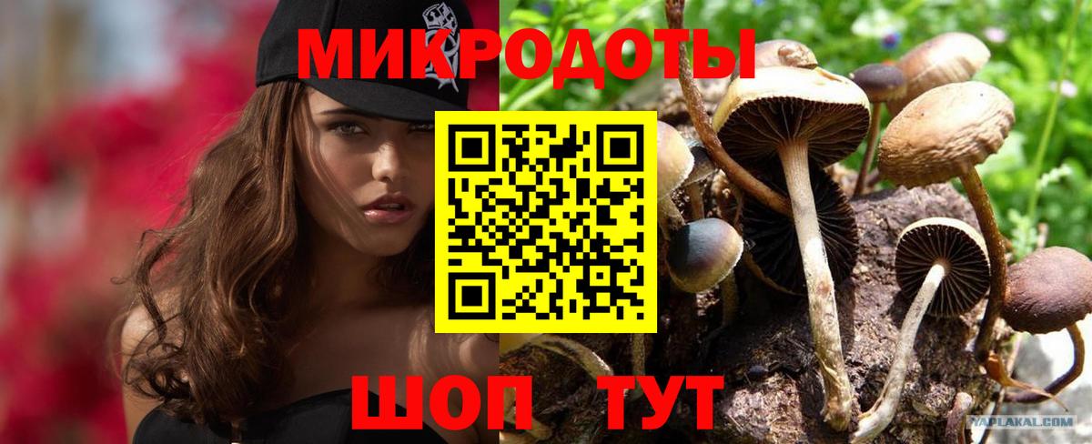 Галлюциногенные грибы Psilocybine cubensis Уссурийск